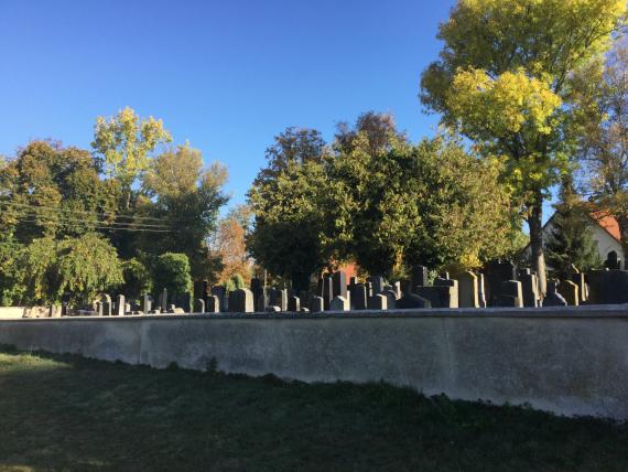 Blick auf den Jüdischen Friedhof Nördlingen - Rasenfläche - Friedhofsmauer - dahinter Gräber und Bäume