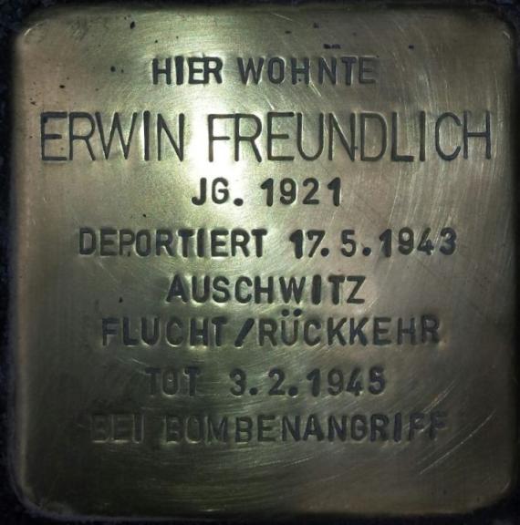 Stolperstein Erwin FREUNDLICH