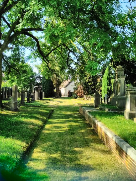 Lawn path in a cemetery, gravestones and trees on the right and left.