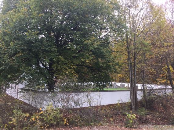 Jüdischer Friedhof Mönchsdeggingen - Blick zum Friedhof