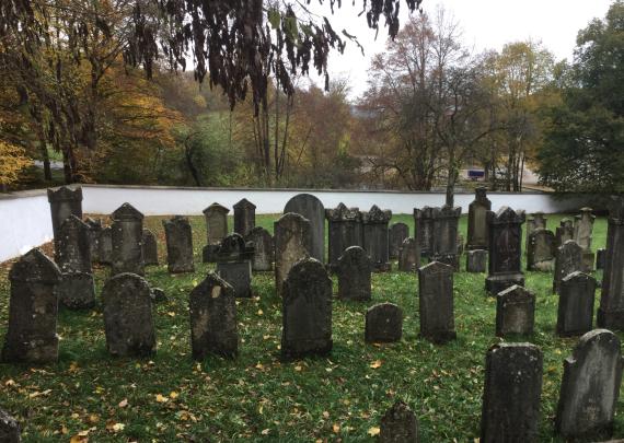 Jewish cemetery Mönchsdeggingen - View of the cemetery - west direction