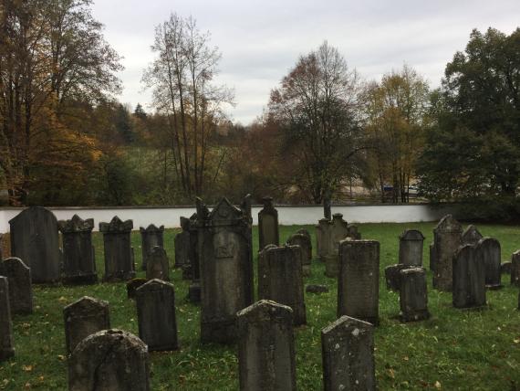 Jüdischer Friedhof Mönchsdeggingen - Blick auf den Friedhof  - Blickrichtung Westen II