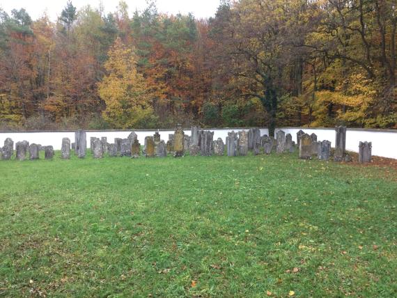 Jüdischer Friedhof Mönchsdeggingen - Blick auf den Friedhof - Blickrichtung Osten