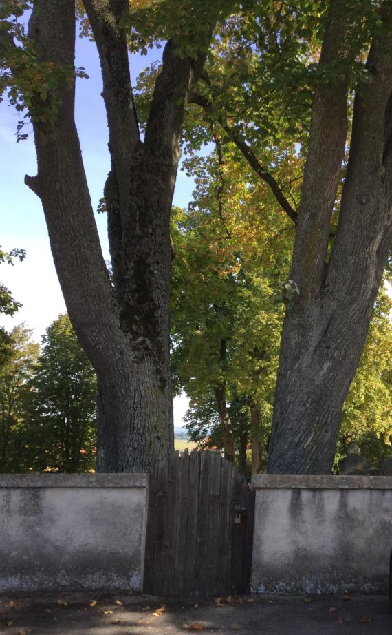 Jüdischer Friedhof Pflaumloch - Eingangstor