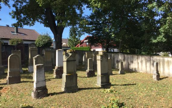 Jüdischer Friedhof Pflaumloch, -  Blick auf verschiedene Grabsteine auf dem Friedhof