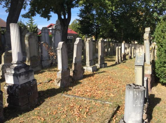 Jewish cemetery Pflaumloch, - view into the rows of gravestones at the cemetery