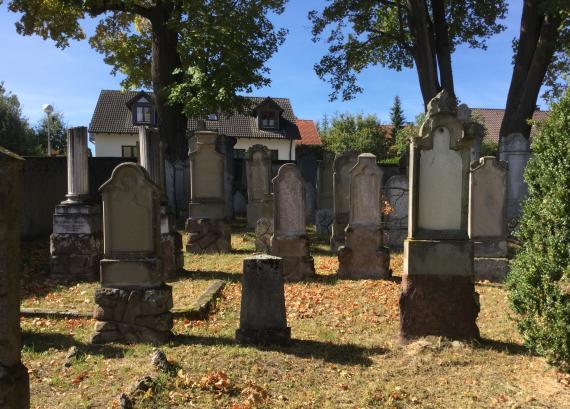 Jüdischer Friedhof Pflaumloch, -  Blick auf verschiedene Grabsteine auf dem Friedhof