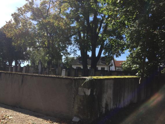 Jüdischer Friedhof Pflaumloch - Blick auf den Friedhof mit seiner Einfassung ( Friedhofsmauer )