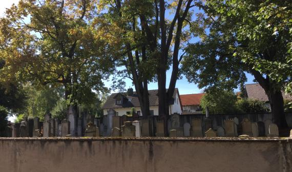 Jüdischer Friedhof Pflaumloch - Blick auf den Friedhof mit Friedhofsmauer