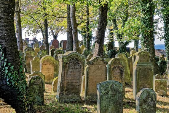 Der jüdische Friedhof Weikersheim