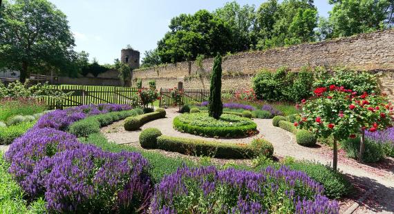 Hospital garden, town wall and defense tower.