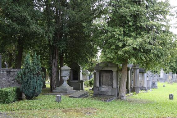 Old Israelite Cemetery 5325