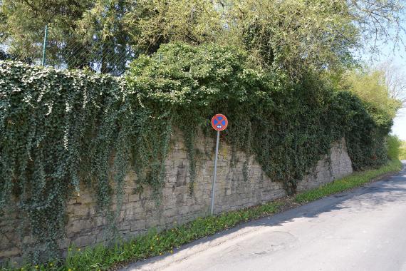 Cemetery wall