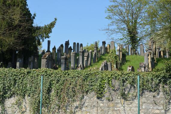 View over the wall