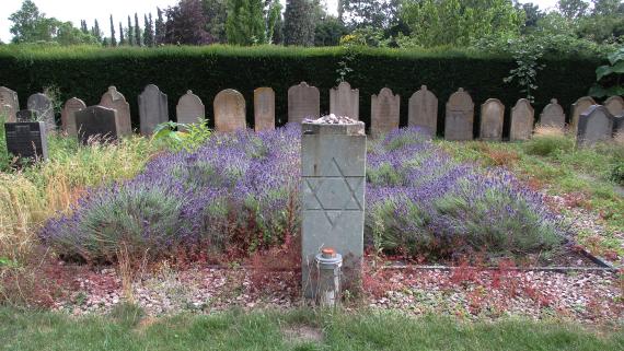 Jewish cemetery at the park cemetery