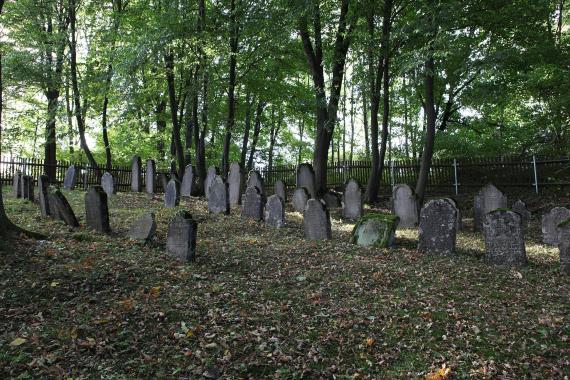 Western part of the cemetery