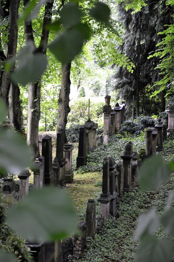 Essen-Steele, Jewish cemetery Hiltrops Kamp6