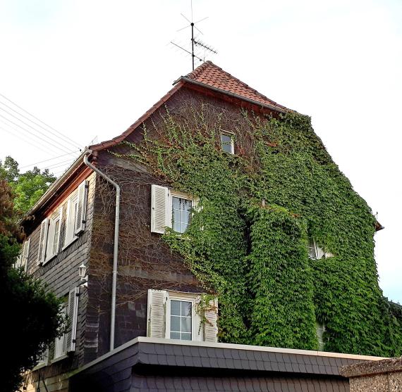 Geburtshaus von Emil Erlenmeyer im Stadtteil Wehen