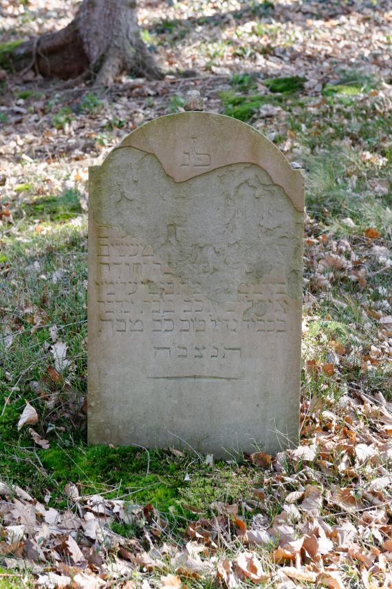 Jewish cemetery (Bad Münstereifel) 4