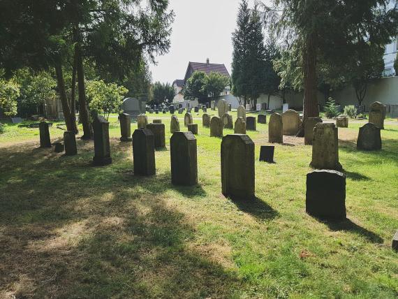 The Jewish cemetery 2018