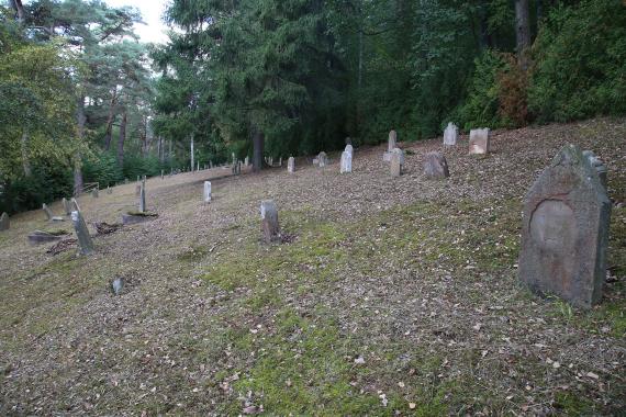 Jewish cemetery Jestädt, 2016