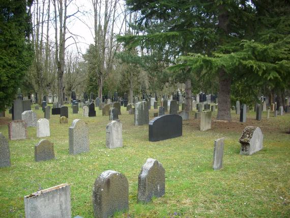 Jewish cemetery Mainz (2015)