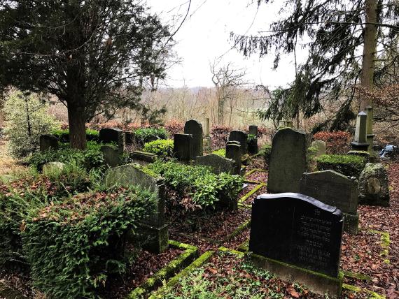 Jewish cemetery in Weingarten (Baden) with view in west direction