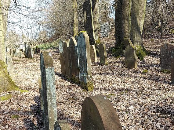 Jewish cemetery in Birstein (2021)
