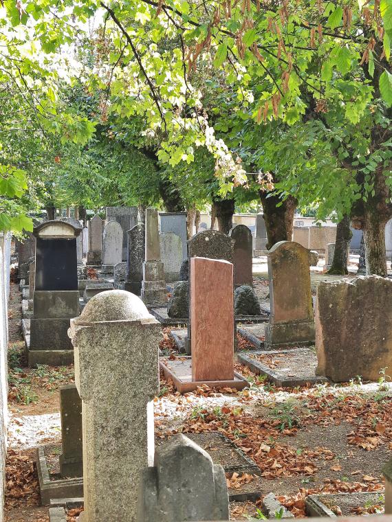 Blick über die Umfassungsmauer in den neuen jüdischen Friedhof von Nordwesten.
