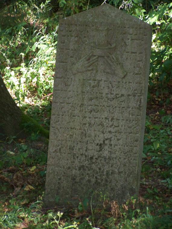 Niederhof, Western Pomerania, Jewish cemetery, Gravestone (2008-08-01)