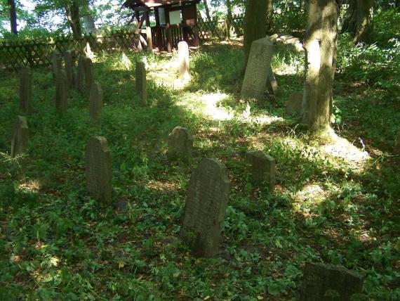 Niederhof, Western Pomerania, Jewish cemetery (2008-08-01)