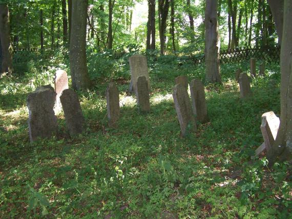 Niederhof, Western Pomerania, Jewish cemetery 1 (2008-08-01)
