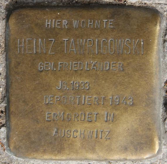 Stumbling Stone An der Urania 16-18 (Schön) Heinz Tawrigowski