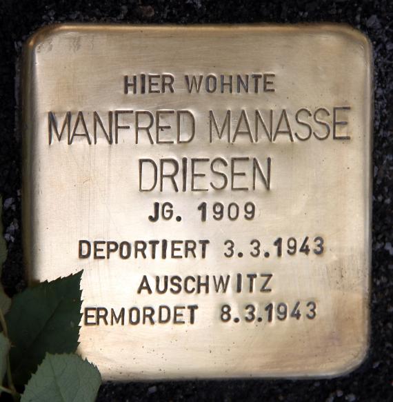 Stolperstein Cheruskerstr 12 (Schön) Manfred Manasse Driesen