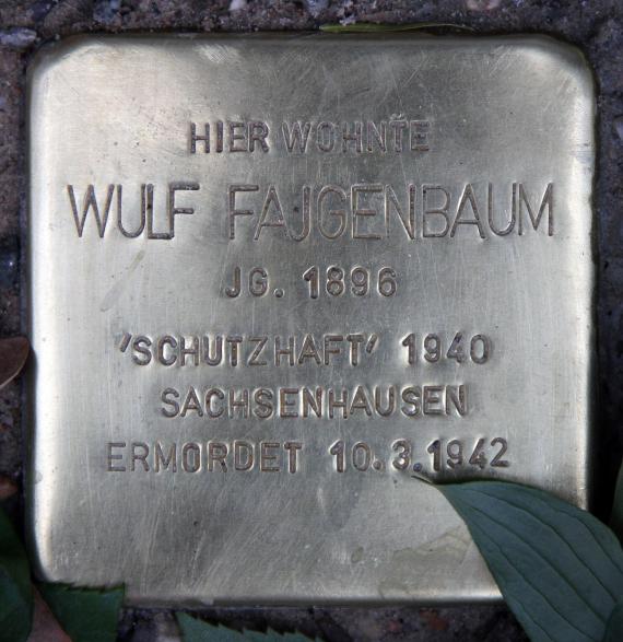 Stolperstein Eisenacher Str 46 (Schön) Wulf Fajgenbaum