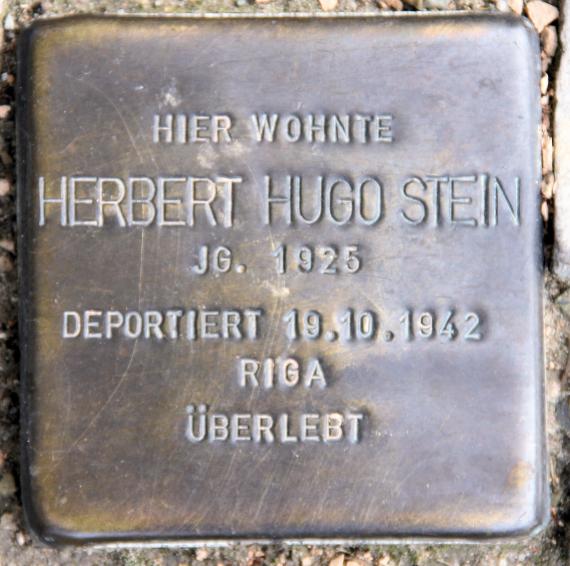 Stumbling Stone Gossowstr 1 (Schöb) Herbert Hugo Stein