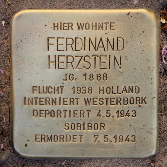 Stolperstein Hewaldstr 6 (Schön) Ferdinand Herzstein