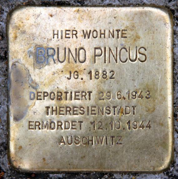 Stolperstein Peter-Hille-Str 17 (Frihg) Bruno Pincus