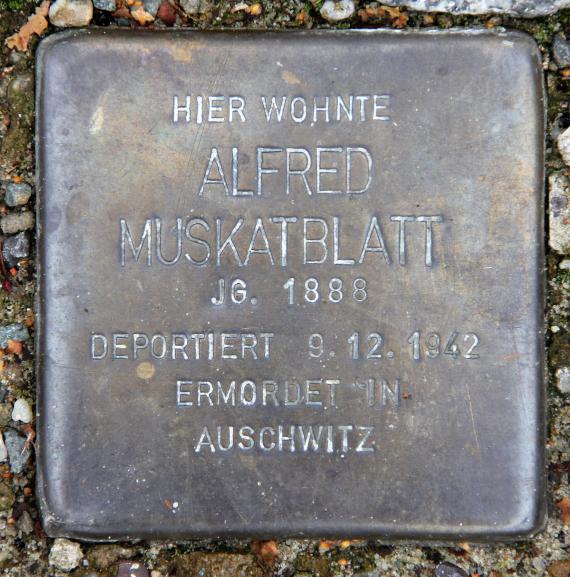 Stumbling Stone Regensburger Str 33 (Schön) Alfred Muskatblatt