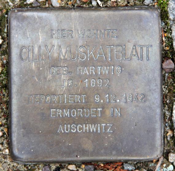 Stolperstein Regensburger Str 33 (Schön) Cilly Muskatblatt