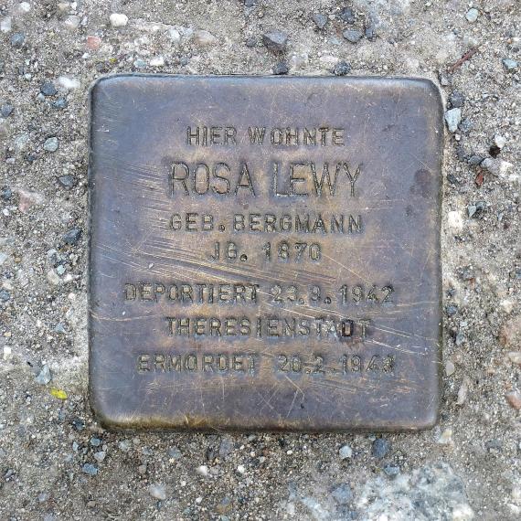 Rosa Lewy stumbling block