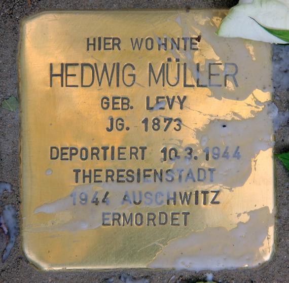 Stolperstein Sprengelstr 6 (Weddi) Hedwig Müller