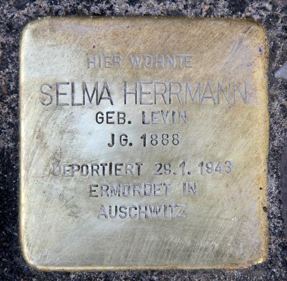 Stolperstein Torstr 210 (Mitte) Selma Herrmann