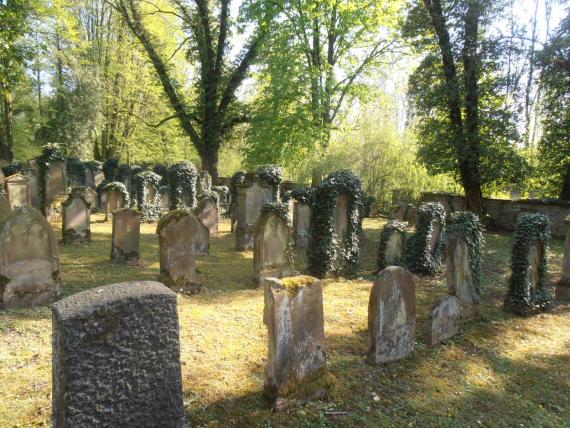 Jewish cemetery in Sontheim