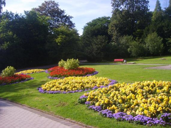 Flowerbeds City Park Bochum