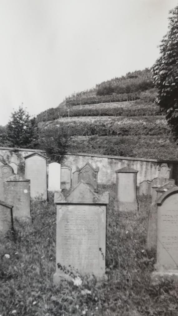 Ansicht des Friedhofs in den 1950er Jahren. Foto aus der Sammlung des Jüdischen Museums der Schweiz