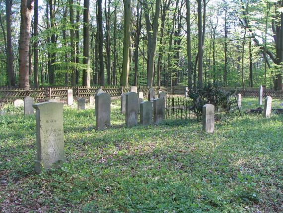 Cemetery 2007