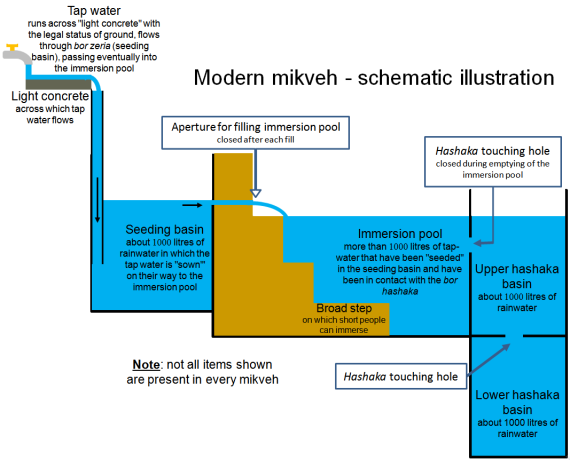 Diagram of a modern mikvah, (sectional drawing), designations in English