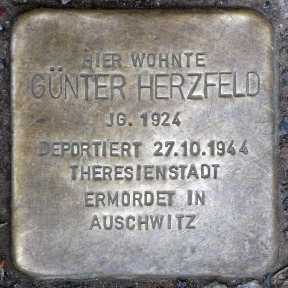 Stolperstein.Friedrichshain.Libauer Straße 6.Günter Herzfeld.8071
