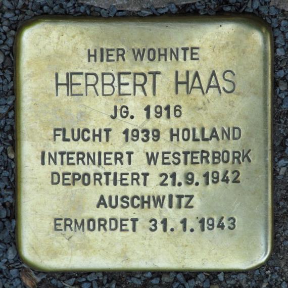 Stolperstein.Mitte.Gormannstraße 3.Herbert Haas.5304